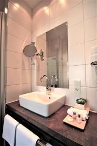 布莱费里恩多米奇尔阿姆林登普拉兹酒店的一间带水槽和镜子的浴室