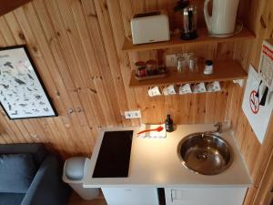 霍芬Lambhus Glacier View Cabins的一个小房子里带水槽的浴室