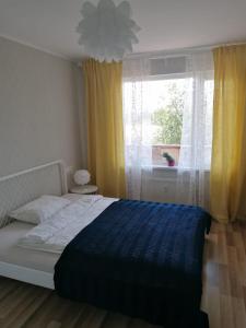 萨尔杜斯Apartment Anna的一间卧室配有一张带蓝色毯子的床和窗户。