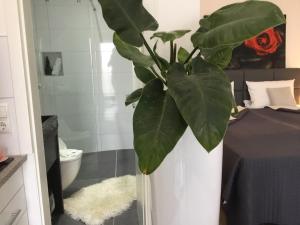 卡塞尔祖姆山顶公园酒店的带卫生间的浴室内的绿色植物