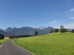 SchlinsDreamlandRanch Vorarlberg的一条路穿过一个有山背景的绿色田野