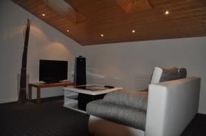 Lichtensteig目的地汽车旅馆的带沙发和电视的客厅