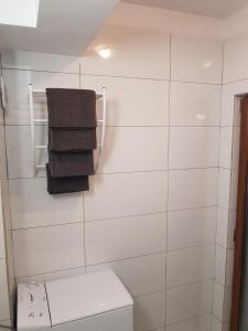 北马马亚-讷沃达里Studio Ines的白色瓷砖浴室设有卫生间和毛巾
