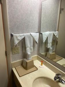 Timmonsville蒂蒙斯维尔经济型旅馆的一间带水槽和镜子的浴室