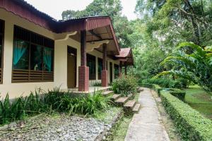 武吉拉旺武吉拉旺环保山林小屋的丛林中的房屋,有一条通往它的道路