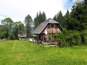 费拉赫Almhütte的绿草丛中的小木屋
