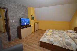 贝谢诺瓦Apartmány Best I. Bešeňová的一间卧室配有一张床和一台平面电视