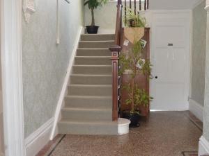 雷德鲁斯Owl House的走廊上设有盆栽楼梯