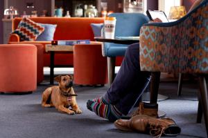 和主人一起入住Bike & Boot Inns Scarborough - Leisure Hotels for Now的宠物