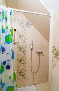 苏瓦乌基Wigierska Zagroda - agroturystyka的带淋浴和卫生间的浴室