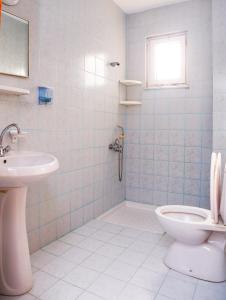 达利安阿里奥萨尔比别墅的一间带卫生间和水槽的浴室