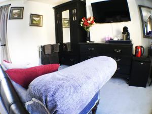 克雷迪顿Hillside Bed and Breakfast的带沙发和电视的客厅