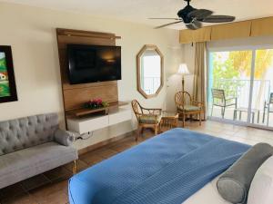 Lindbergh Bay翡翠海滩度假村的一间卧室配有一张床、一张沙发和一台电视