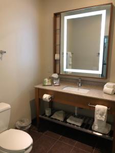 圣安东尼奥温德姆花园河畔步行街博物馆酒店的一间带水槽、镜子和卫生间的浴室