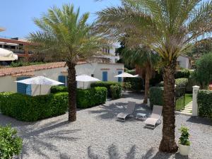 卢贝新城Hotel l'Etape的庭院里种植了两棵棕榈树,配有椅子和遮阳伞