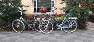 埃因霍温B&B Le Bon Vivant Eindhoven的两辆自行车停在房子前面,彼此相邻