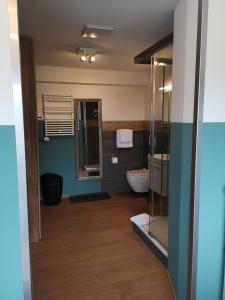 Jenins加斯多夫祖尔布德旅馆的一间带卫生间、水槽和镜子的浴室