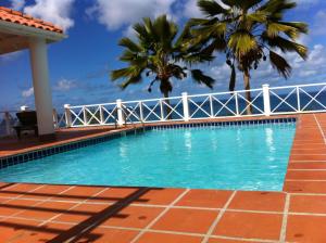 Five Islands VillageAloe Villa的一座棕榈树环绕的游泳池