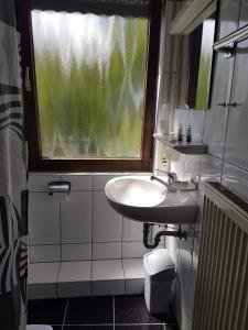费尔巴赫Traube Hotel Oeffingen的一间带水槽和窗户的浴室