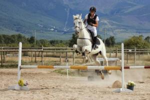 里亚萨Ecológico en plena naturaleza的骑着马跳过障碍物的女人