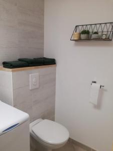 ÉchevisL'Echevine en vercors的白色的浴室设有卫生间和架子。