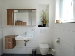 大雷申Ferienwohnung Seenland的一间带水槽、卫生间和镜子的浴室
