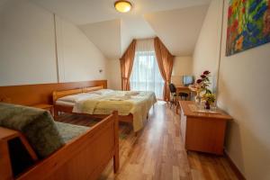 斯米扎尼Park Hotel Čingov的酒店客房,设有两张床和一张沙发