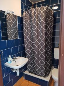 托伦银色高速公路旅馆的蓝色瓷砖浴室设有水槽和淋浴帘