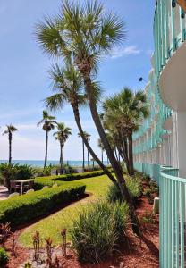 巴拿马城海滩Casa Loma Panama City Beach - Beachfront的棕榈树建筑享有海景。
