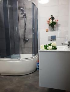 米卢夫卡Apartament w Milówce的带淋浴、浴缸和盥洗盆的浴室