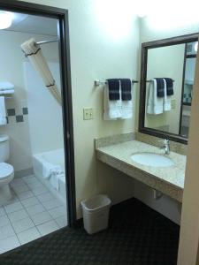 科迪阿美莉科迪黄石酒店的一间带水槽、卫生间和镜子的浴室