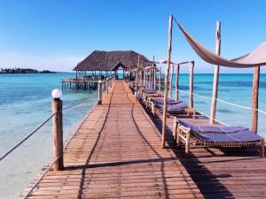 江比阿Reef & Beach Resort - Spa Jambiani的一个带椅子的木码头和水边的房子