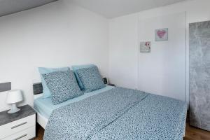 圣路易Comfort Stay Basel Airport 3B46的一间卧室配有一张带蓝色床单和蓝色枕头的床。