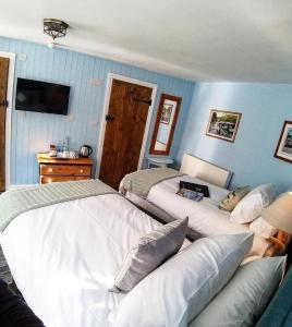 博斯卡斯尔Bridge House Bed & Breakfast的卧室设有两张床铺和蓝色的墙壁