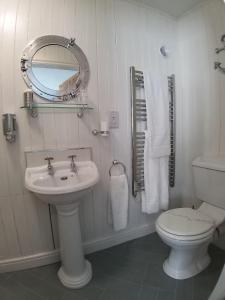 博斯卡斯尔Bridge House Bed & Breakfast的一间带水槽、卫生间和镜子的浴室