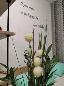 诺维萨德Mateja Apartment的花瓶,上面有标志,如果你想快乐,可以读