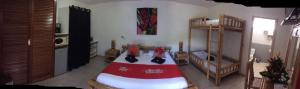 普纳奥亚法努阿酒店的一间带两张双层床的卧室和一间厨房