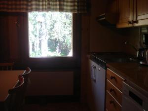 索特Hakamajat Cottages的厨房设有窗户、水槽和柜台