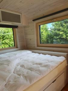 BirkfeldTiny House Steirerbua的小型客房的一张床位,设有两个窗户