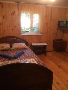 Szackсадиба Подвір'ячко的一间卧室配有一张床和一台电视。