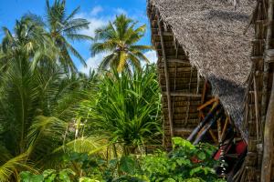 布韦朱埃弗格林山林小屋的享有棕榈树建筑背景的景色