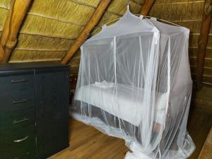 ChizavaneChicuanga的配有蚊帐的客房内的一张床位