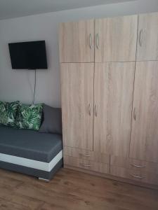 汉德洛瓦Ubytovanie Janka的带沙发和木制橱柜的客厅