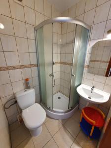 Kwatery u Sylwii - Apartament i pokoje的一间浴室