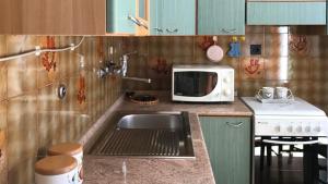 奥尔戈索洛Welcomely - Casa Vacanze Zarinu的厨房配有水槽和微波炉