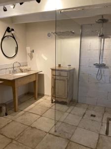 RanconGite La Grange de Jeanne的带淋浴、盥洗盆和镜子的浴室