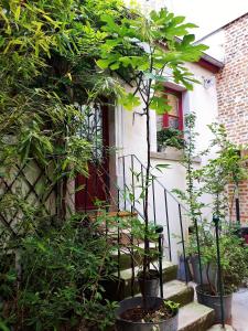 巴黎巴黎小舍公寓的门前有树木和楼梯的房子