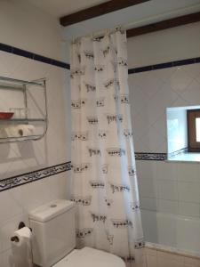VillapedreCasa Fonso的一间带卫生间和淋浴帘的浴室