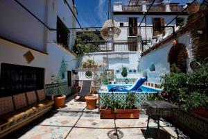 格拉纳达Oripando Hostel的种有盆栽植物的庭院和游泳池