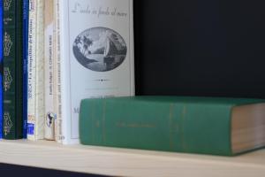 孔韦尔萨诺艾勒门塔住宿加早餐旅馆的一本绿色的书,与其他书一起坐在书架上